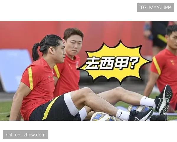 评论：数据分析公司签约西甲，传统球探体系与大数据选材的融合争议